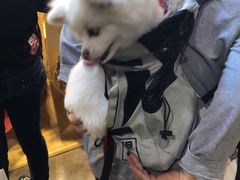 -香港会议展览中心演讲厅