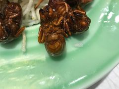 -金蝉食府(维吉奥广场店)