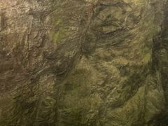 -牛背梁国家森林公园