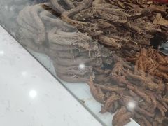 -震九州熟食(凯旋路店)