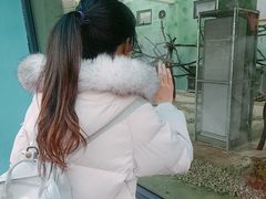 -无锡动物园·太湖欢乐园