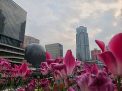-美罗城