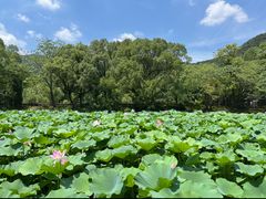 -兰亭风景区