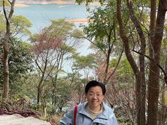 -广州市流溪河国家森林公园