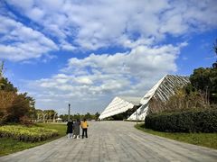 -莲花岛景区