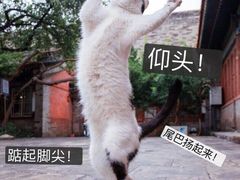 -森林公园(尖草坪区)