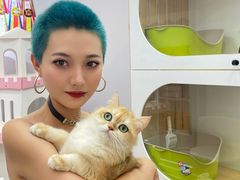 -青奢宠物·青奢猫舍