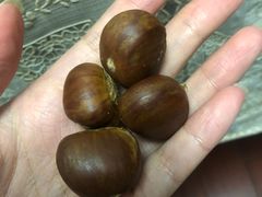 -阿男野栗王(金门路店)