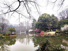 -杭州植物园