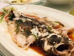 清蒸鲥鱼-老洋房花园饭店(绍兴路店)
