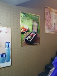 -归真美学颜究中心