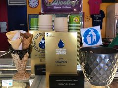 -Dooley's Premium Ice Cream