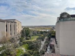 -上海崇明金茂凯悦酒店