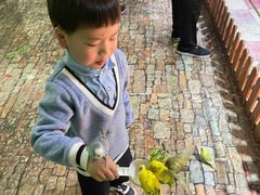 -上海大自然野生昆虫馆(东方明珠·爬宠昆虫探索中心)