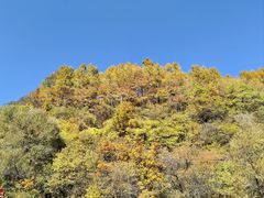 -玉渡山自然风景区