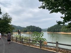 -千岛湖龙川湾