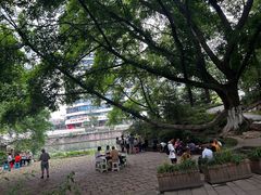 -成都市活水公园