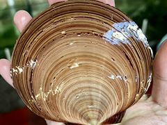 -凯华海鲜火锅·传承三十六年