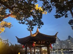 -江心屿景区