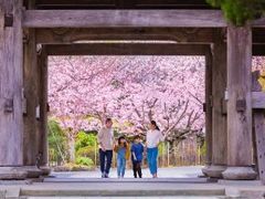 -学习谷日语培训日本留学·多语种外语教学(西单宣武分部)