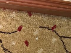-杭州香格里拉饭店