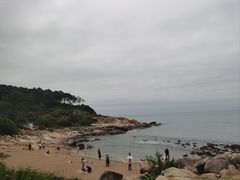 -广东惠东海龟国家级自然保护区