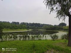 -东郊湿地公园