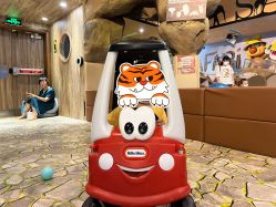 -卡通尼·Safari非洲探索乐园·生日会(金桥国际商业广场店)