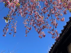 -天龙八部武侠城