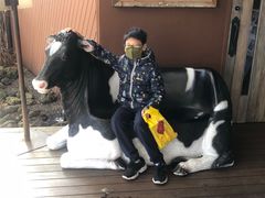 -轻井泽王子购物广场