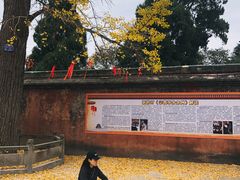 -金堂县云顶石城风景区