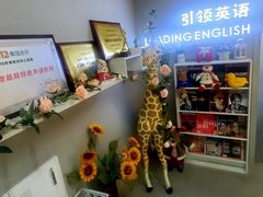 -引领英语·成人口语·雅思托福