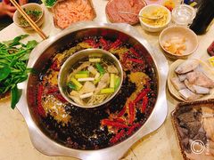 -大龙火锅(老店)