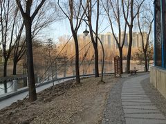 -森林公园(尖草坪区)
