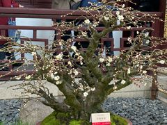 -寒山寺