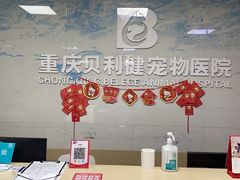 -宠颐生贝利健动物医院(谢家湾分院)