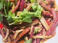 -缘生态云南菜·野生菌庭院餐厅(华侨城店)