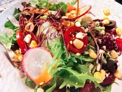 -布拉格餐厅· 中欧捷克菜(全国首店)