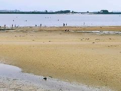 -北海金海湾红树林生态旅游区