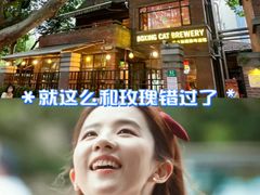 -Boxing Cat Brewery拳击猫精酿啤酒馆(永福店)
