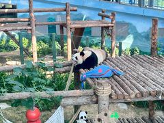 -大连森林动物园