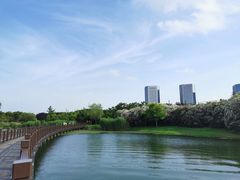 -贡湖湾湿地公园