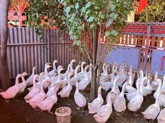 -鱼窝棚柴火铁锅炖(富山屯店)