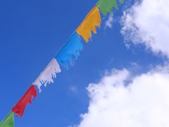 -大冬树山垭口
