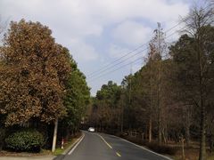 -南京市无想山景区