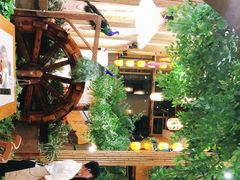 -大理董·董家小厨野生菌火锅(古城旗舰店)