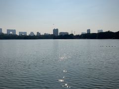 -海珠湖公园