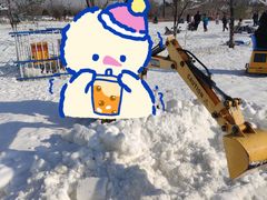 -绿野森林乐园冰雪季