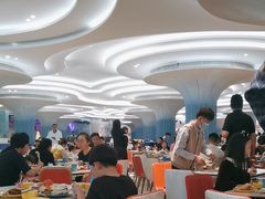 -帝企鹅自助餐厅•儿童岛•真企鹅(长隆企鹅酒店)