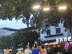-刘姐啤酒鱼民族演艺餐厅(西街总店)
